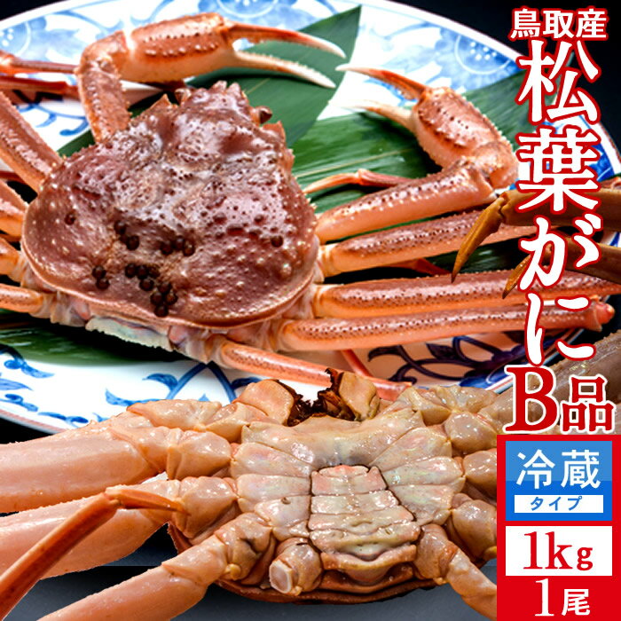 达ե B1kg2025 ˲ء­ޤ  ճ ʪޤĤФ Ļ踩 ֥ɥޥĥХ ܳ磻ˡΤ դ뤵ȥ...