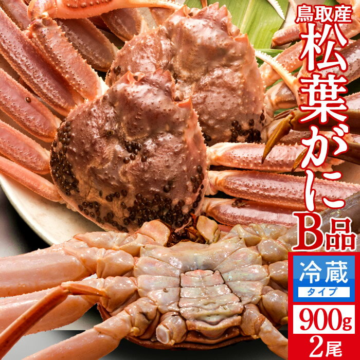 达ե B900g22025 ˲ء­ޤ  ճ ʪޤĤФ Ļ踩 ֥ɥޥĥХ ܳ磻ˡΤ դ...