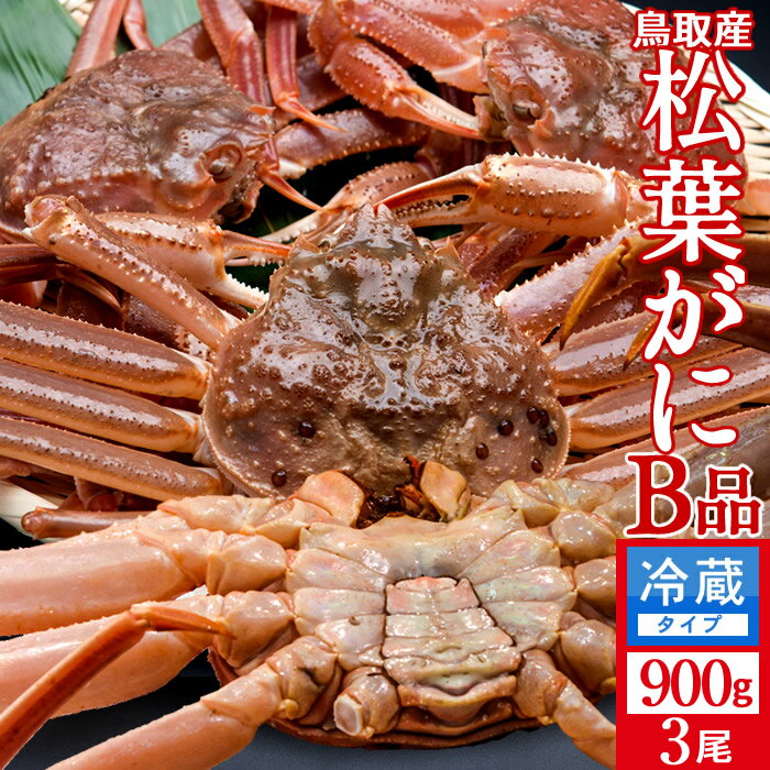 活松葉ガニ 訳あり［B特大］900g×3尾［2025 かに解禁］足折れ 生 松葉蟹 新物まつばがに 鳥取県産 ブランドマツバガニ 日本海ズワイガニ［お歳暮 ふるさとギフト］