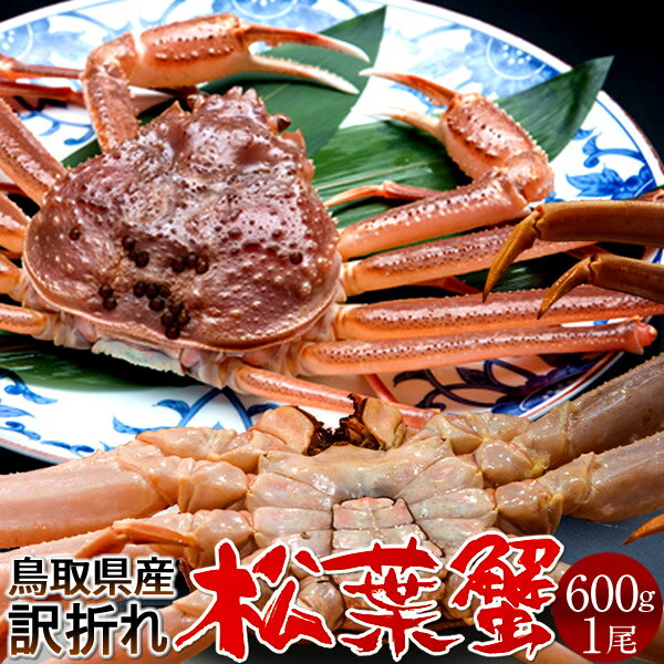 达ե B600g2025 ˲ء­ޤ  ճ ʪޤĤФ Ļ踩 ֥ɥޥĥХ ܳ磻ˡΤ դ뤵ȥ...