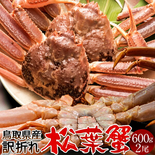 达ե B600g22025 ˲ء­ޤ  ճ ʪޤĤФ Ļ踩 ֥ɥޥĥХ ܳ磻ˡΤ դ뤵...