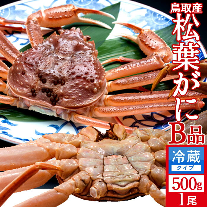 达ե B500g2025 ˲ء­ޤ  ճ ʪޤĤФ Ļ踩 ֥ɥޥĥХ ܳ磻ˡΤ դ뤵ȥ...