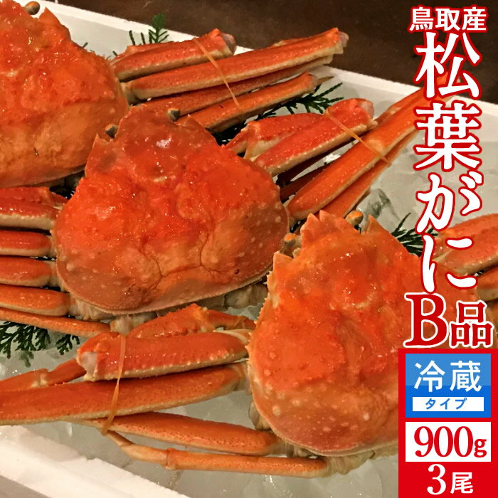 ͤǾե B900g32025 ˲ء­ޤ ܥ뾾ճ 觤ǳ ʪ Ļ踩 ֥ɥޥĥХ ܳ磻ˡΤ ...