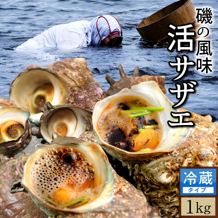  褭 ŷ 褵 1kg7-10ġĻ踩 ι ܳ ɿ Ƥ BBQС٥塼    ...