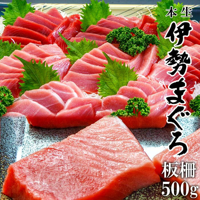 DEALセールグルメ特集 本マグロ 伊勢まぐろ 500g 板柵(2～3柵) 4~6人前 大トロ 中トロ 赤身 鮪 刺身用 生食用 国産 三重県 南伊勢町神前浦 養殖本鮪 高級 贈り物 お取り寄せ 人気 通販 おすすめ グルメ 丸義商店 産地直送 冷蔵便 送料無料