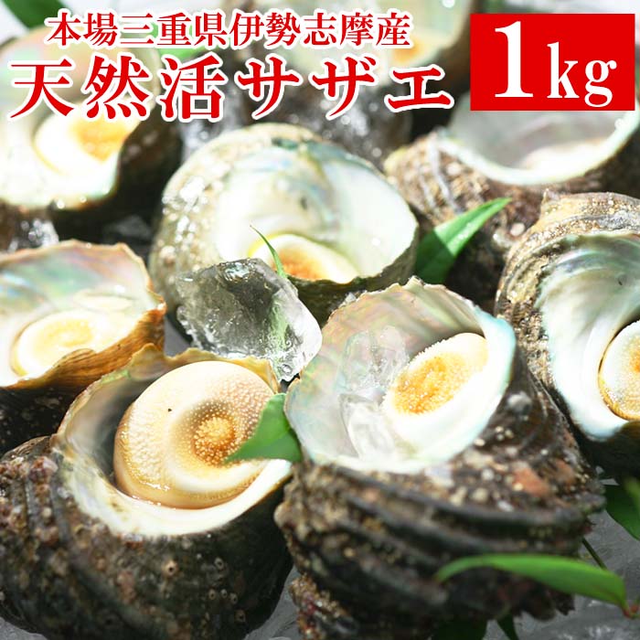 さざえ 伊勢志摩産 天然活サザエ 約1kg(8～12個) 国産 ...