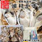 牡蠣 生食用浦村かき 20個 三重県鳥羽市浦村牡蠣 生かき 養殖牡蠣 滅菌処理済 伊勢志摩産 ムキミ 牡蠣の国 海のミルク 一年牡蠣 ビタミン 亜鉛 タウリン 伊勢湾産 リアス式 通販 人気 プレゼント グルメ お取り寄せ おすすめ 産地直送 母の日ギフト 常温発送 送料無料