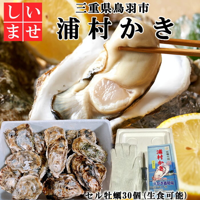 牡蠣 生食用浦村かき 30個 三重県鳥羽市浦村牡蠣 生かき 養殖牡蠣 滅菌処理済 伊勢志摩産 ムキミ 牡蠣の国 海のミルク 一年牡蠣 ビタミン 亜鉛 タウリン 伊勢湾産 リアス式 通販 人気 プレゼント グルメ お取り寄せ おすすめ 産地直送 父の日ギフト 常温発送 送料無料