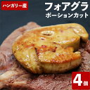 【クーポンで10%オフ】お買い物マラソン フォアグラ・ド・カナール ポーションカット 4個入り(25-30g×4個) 冷凍品 ハンガリー産 フランス料理 カット済み 業務用 送料無料 お試し お取り寄せ ご褒美 食品ギフト 贈り物 贈りもの ギフト 鴨肝臓 高級 おつまみ 鴨
