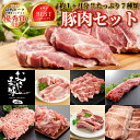 おうちごはん 国産 豚肉セット 2人前メニュー10品【豚ロース生姜焼き300g豚肩ロースとんかつ用300g豚ヒレブロック1本400-500g 豚ひき肉400g豚...