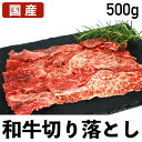 【クーポンで10%オフ】お買い物マラソン 和牛 切り落とし 500g 牛肉 切り落とし肉 国産 冷凍品 食肉本舗 お試し お取り寄せ 自分用 ご褒美 食品ギフト 贈り物 贈りもの 父の日 ごちそう