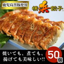 【クーポンで10%オフ】お買い物マラソン 横浜餃子 ピリ辛 タレのいらない餃子 50個入り 国産 ハマトミ食品 冷凍品 業務用 食肉本舗 お試し お取り寄せ 自分用 ご褒美 食品ギフト 贈り物 贈りもの 父の日 BBQ バーベキュー アウトドア キャンプ 冷凍