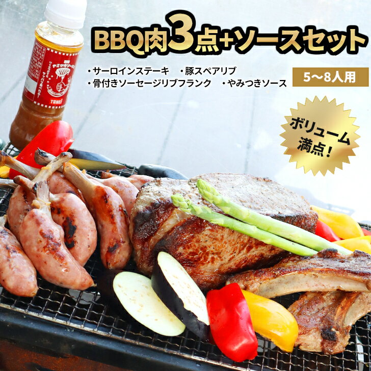 【6/4～10％オフ】BBQ肉 3点+ソース 豪華4点セット( サーロインステーキ ・ ブロック 1kg 豚スペアリブ..