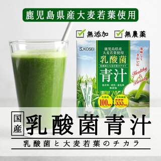 乳酸菌 国産青汁 ： 4ヶ月分 [ギフト 3g × 126本 青汁 酵素 健康 ダイエット 国産 大麦若葉 乳酸菌 100億個 食物繊維 抹茶風味]