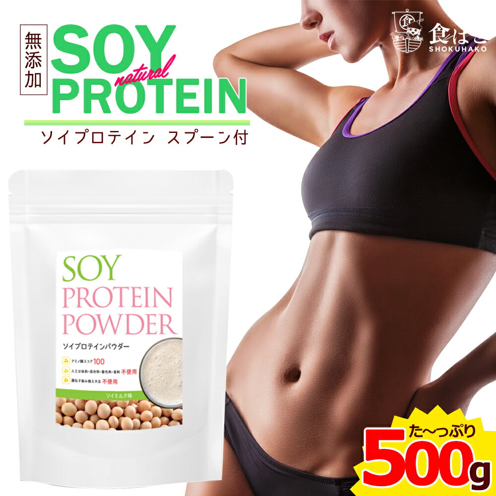 【送料無料】ナチュラルソイプロテイン 500g [ 無添加 保存料不使用 非遺伝子組み換え大豆 ダイエット 美容 ポイント消化 大容量 アミノ酸 筋肉]