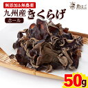 【九州産】 きくらげ ホール 50g 乾燥 無農薬 [ 無添加 国産 木耳 料理 健康 乾物 希少 ] 【全国どこでも送料無料】 最安値に挑戦★赤字覚悟の限界価格！