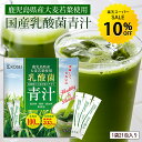 株式会社 光生 国産乳酸菌青汁 最大378g(126本×3g)
