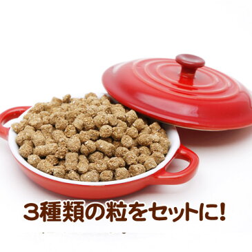 お試しセット500g×3袋／ 国産 保存料なし お試しセット 犬用 ドッグフード トライアル