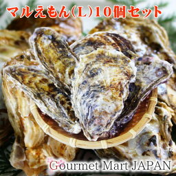 マルえもん[Lサイズ]10個セット 北海道厚岸産 牡蠣 殻付き 牡蠣 生食 2024 お取り寄せグルメ ギフト お花見 花見 母の日