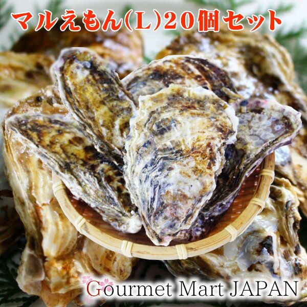 マルえもん[Lサイズ]20個セット 北海道厚岸産 牡蠣 殻付き 牡蠣 生食 楽天 2024 お取り寄せグルメ ギフト プレゼント 父の日