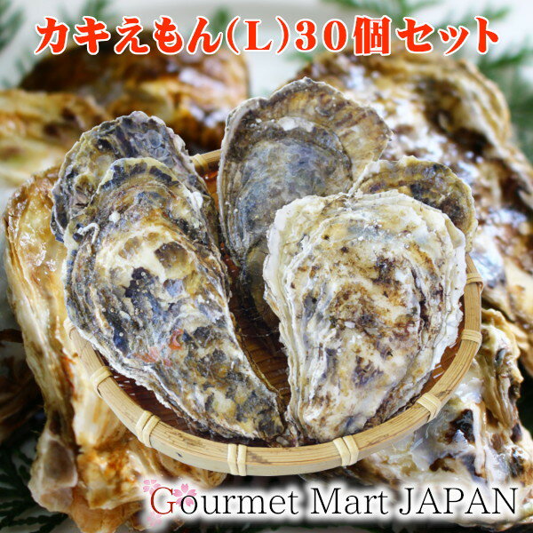 カキえもん[Lサイズ]30個セット 北海道厚岸産 牡蠣 殻...