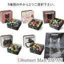 CACAOCAT 缶ミックス 8個入 お好きなパッケージ・フレーバーから2つ選べる/オリジナル紙袋付き【バレンタインDay・ホワイトDay限定】