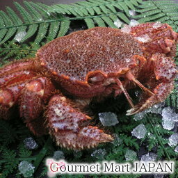 かにのマルマサ カニ かにのマルマサ 北海道産毛がに 450g 1尾入 お取り寄せグルメ プレゼント ギフト