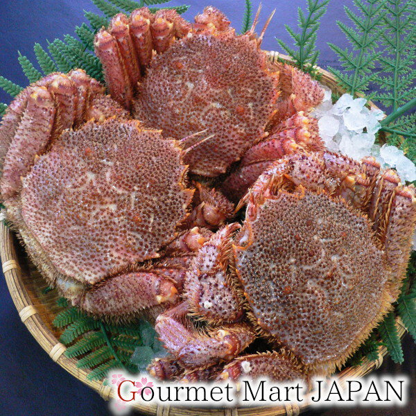 かにのマルマサ 北海道産毛がに 500g 3尾セット お取り寄せグルメ プレゼント ギフト