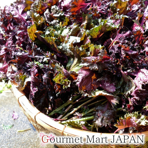 紀州 おかずしそ 200g×5パックセット 本場紀州虎屋 楽天 お取り寄せグルメ ギフト ...