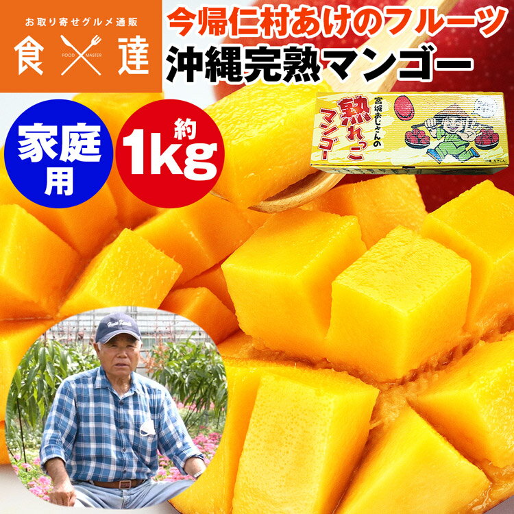 マンゴー 沖縄 完熟マンゴー ご家庭用 1kg 2〜3玉 今帰仁村 あけのフルーツ アップルマンゴー アーウィン種 常温便 同梱不可 指定日不可