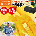 金蜜マンゴー 1kg 贈答用 沖縄県産 キンミツ マンゴー 今帰仁村 産直 常温便 同梱不可 指定日不可