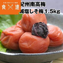 紀州南高梅 梅干し 減塩 しそ梅 500g×3 計1.5kg 和歌山県産 梅干 うめぼし しそ 紫蘇 減塩 低塩分 常温便 同梱不可 ギフト お取り寄せグルメ 食品 ギフト