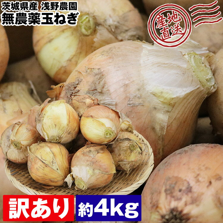 玉ねぎ 無農薬 4kg 訳あり ご家庭用 難あり 茨城県産 玉葱 タマネギ 玉ネギ 国産 産直 常温便 同梱不可..