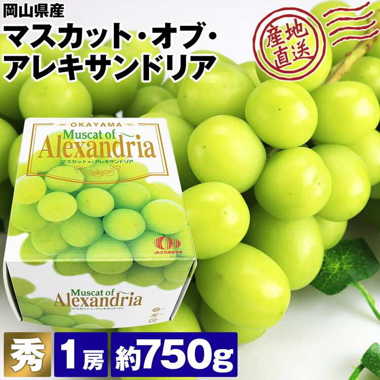 ぶどう マスカットオブアレキサンドリア 岡山県産 秀 1房 約750g 高級 大房 白ぶどう ブドウ 葡萄 化粧箱 産直 産地直送 冷蔵便 同梱不可 指定日不可