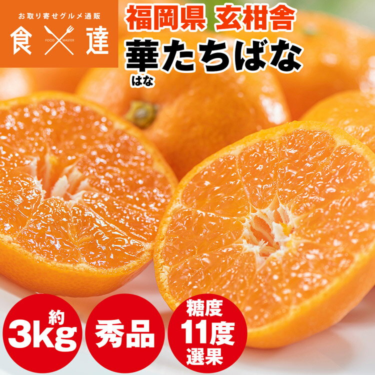 みかん 3kg 糖度11度選果 秀品 福岡県産 華たちばな 蜜柑 ミカン 産直 常温便 同梱不可 指定日不可のサムネイル