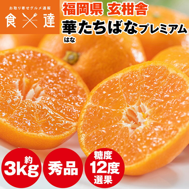 みかん 3kg 糖度12度以上 プレミアム 秀品 福岡県産 華たちばな 蜜柑 ミカン 産直 常温便 同梱不可 指定日不可のサムネイル