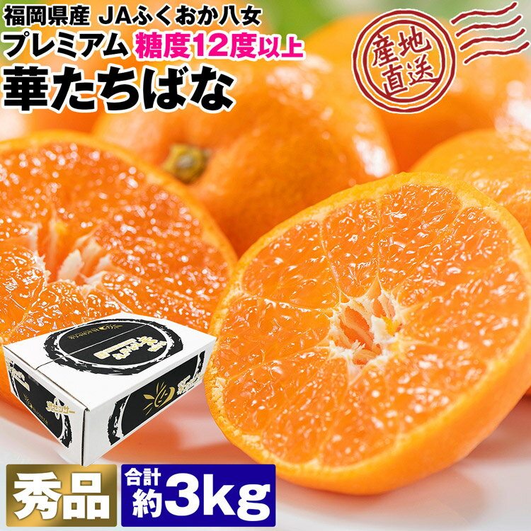 福岡みかん|福岡県産で人気の甘くて美味しいミカンお取り寄せの 福岡みかん|福岡県産で人気の甘くて美味しいミカンお取り寄せの
