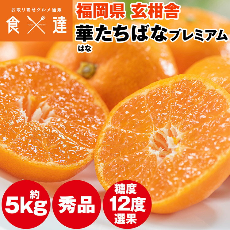 みかん 5kg 糖度12度以上 プレミアム 秀品 福岡県産 華たちばな 蜜柑 ミカン 産直 常温便 同梱不可 指定日不可のサムネイル