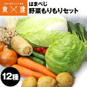 野菜 セット 詰め合わせ 12種 内容完全おまかせ はまべじ 冷蔵便 同梱不可 指定日不可 産直