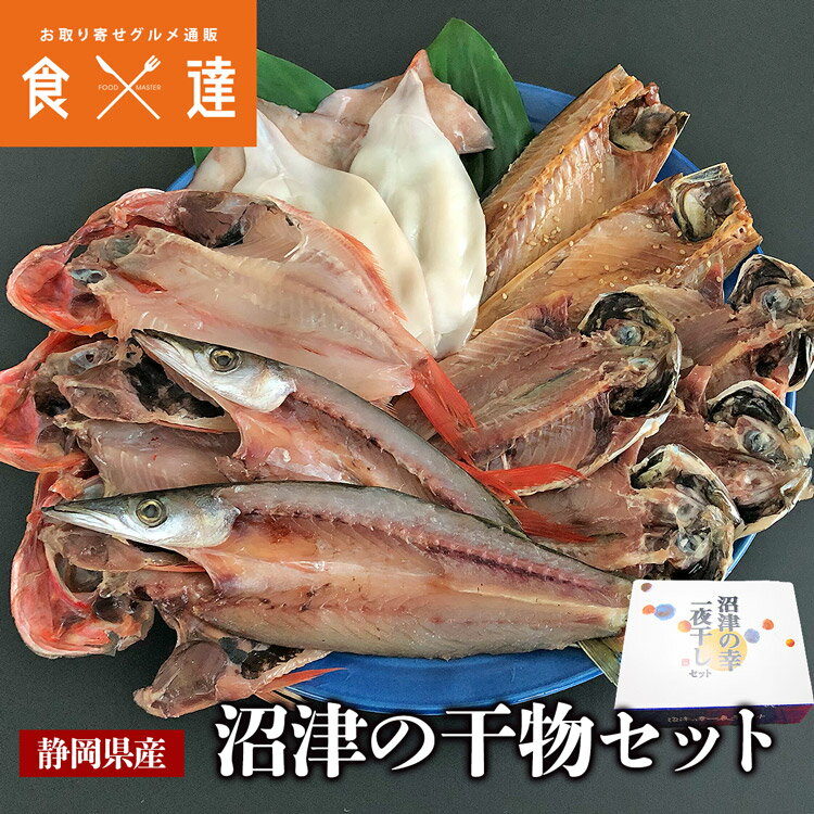 干物 沼津の幸 一夜干しセット 冷凍便 金目鯛 真アジ 開きイカ かます サバ味醂 送料無料 贈答用 お取り寄せグルメ 食品 ギフト