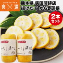 からし蓮根 2本 廣田蒲鉾店 熊本県 熊本名物 惣菜 辛子蓮根 つまみ 産直 冷蔵便 同梱不可 指定日不可