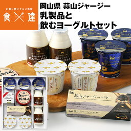 ヨーグルト 乳製品 セット 詰め合わせ 蒜山 ジャージーミルク バター チーズ 岡山県 ギフト 冷蔵便 同梱不可 指定日不可 産直