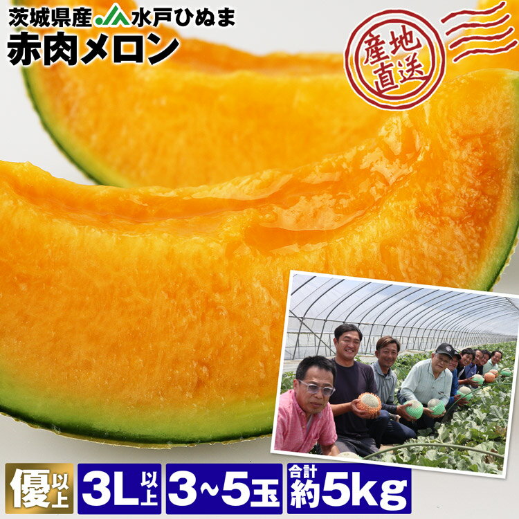 メロン 茨城県産 5kg 3