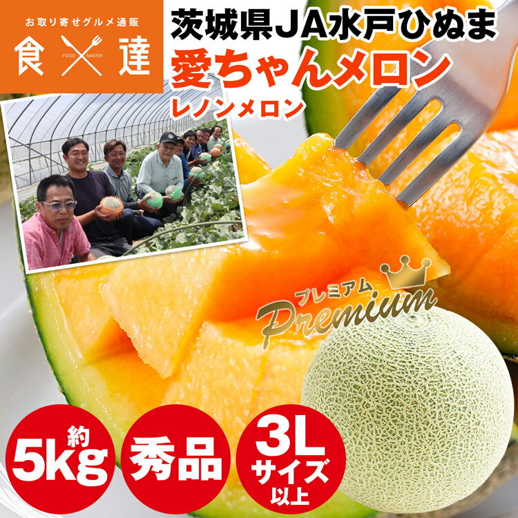 楽天市場】5L(メロン|フルーツ・果物):食品の通販 楽天市場】5L(メロン|フルーツ・果物):食品の通販