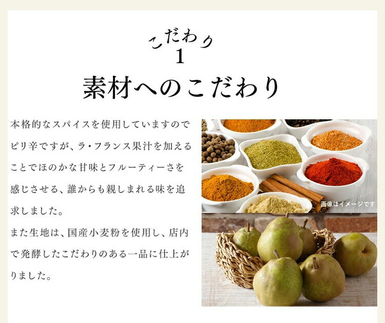 カレーパン 冷凍 10個 セット 山形県 道の駅 天童温泉 Tento パン 惣菜 スパイス ラ・フランス 冷凍便 同梱不可 指定日不可 産直