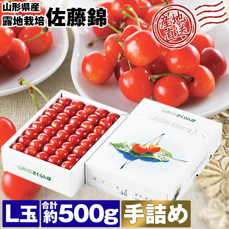 さくらんぼ 500g L玉 佐