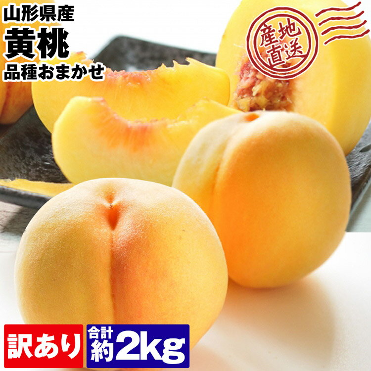 黄桃 訳あり 2kg 山形県産 品種おまかせ ご家庭用 桃 モモ 常温便 同梱不可 指定日不可 産直のサムネイル