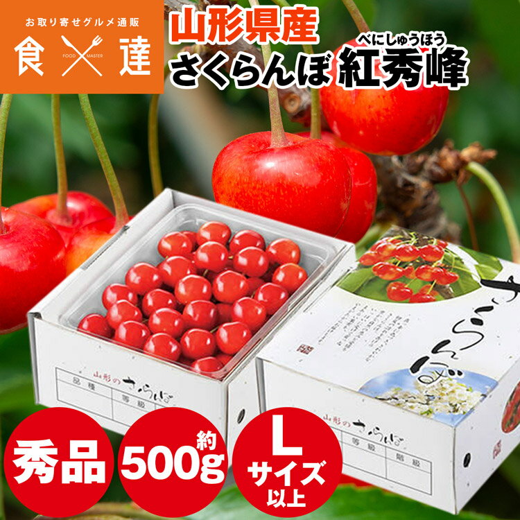 さくらんぼ 500g 紅秀峰 山形県産 秀品 Lサイズ以上 べにしゅうほう ギフト 贈り物 贈答 サクランボ 冷蔵便 同梱不可 指定日不可 産直