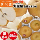刈屋梨 5kg 訳あり 山形県産 梨 和梨 ご家庭用 ご自宅用 常温便 同梱不可 指定日不可 産直