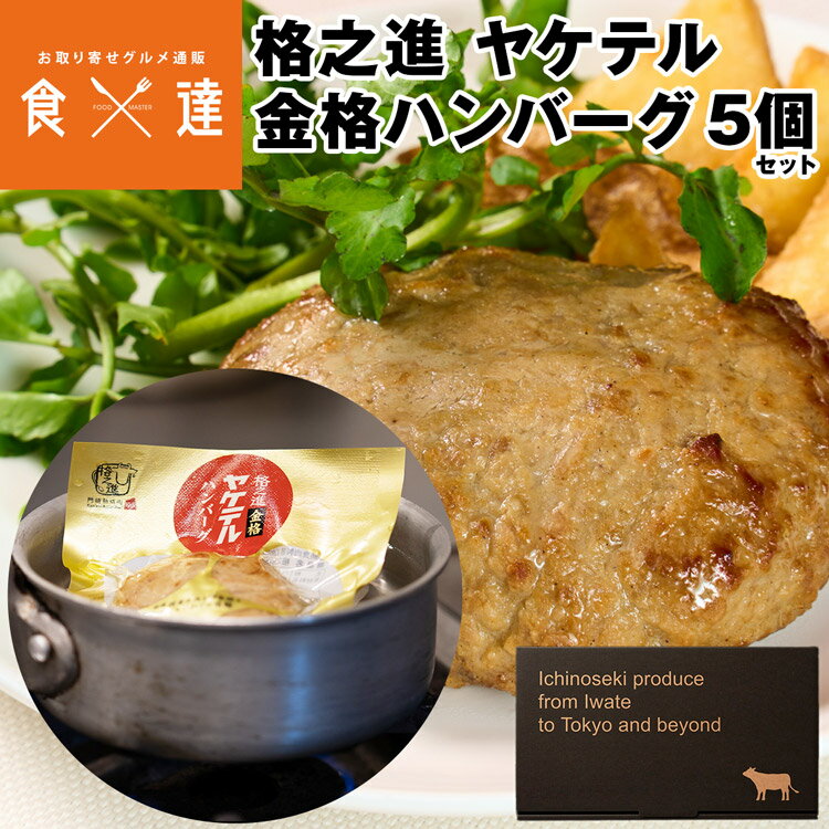 ハンバーグ 冷凍 ギフト 格之進 ヤケテル金格ハンバーグ 5個入 1個120g 温めるだけ レトルト 湯煎 国産 和牛 白金豚 冷凍便 同梱不可 指定日不可 産直